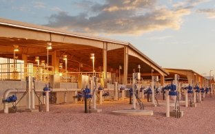 Chandler Airport Water Reclamation Facility