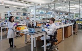 A laboratory inside the Knight Cancer Institute.