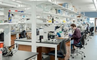 People working in a lab